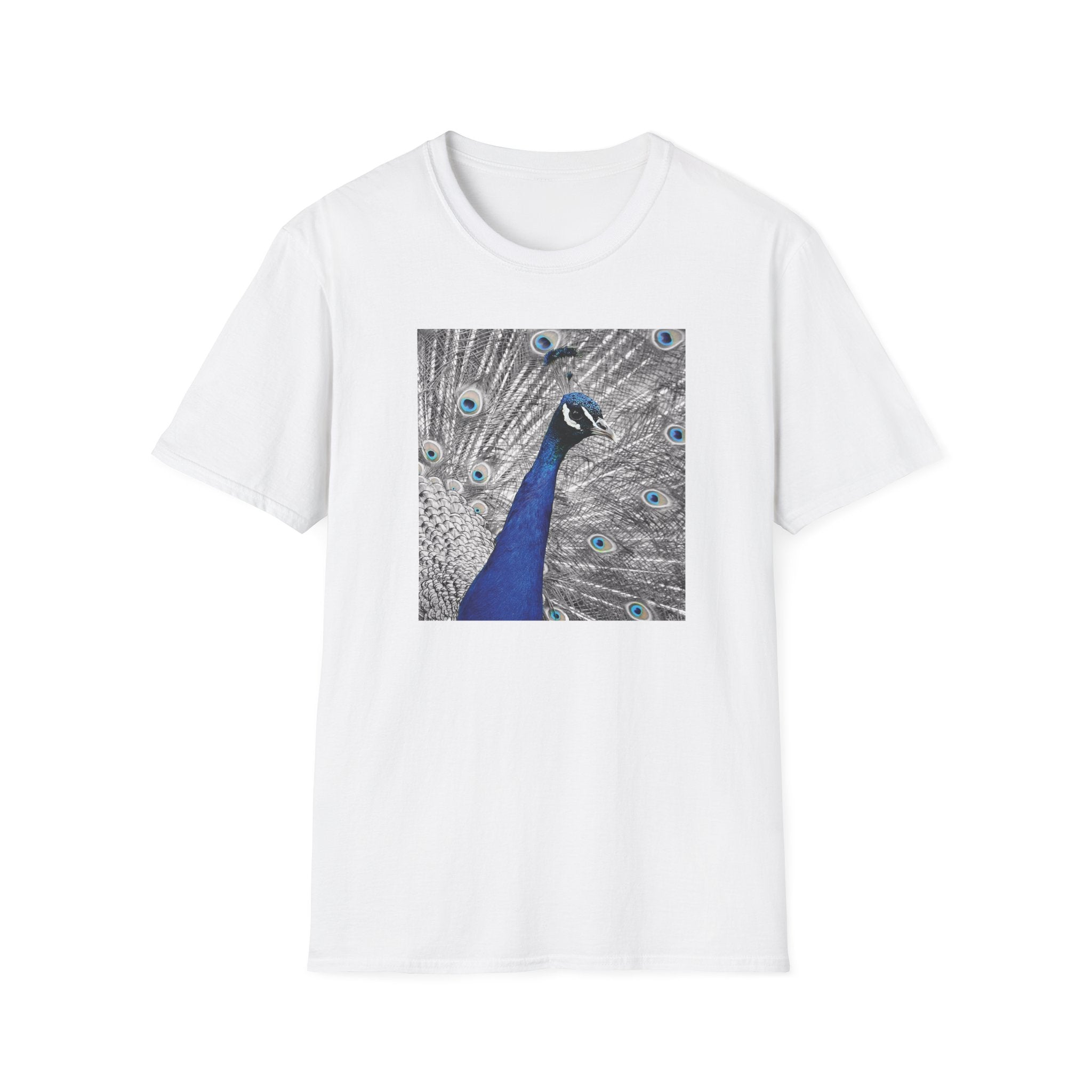 Photo of blue peacock with feathers T-shirt black and white with bright blue eyes on feathers