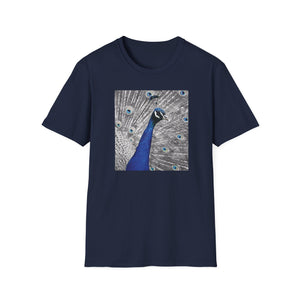 Photo of blue peacock with feathers T-shirt black and white with bright blue