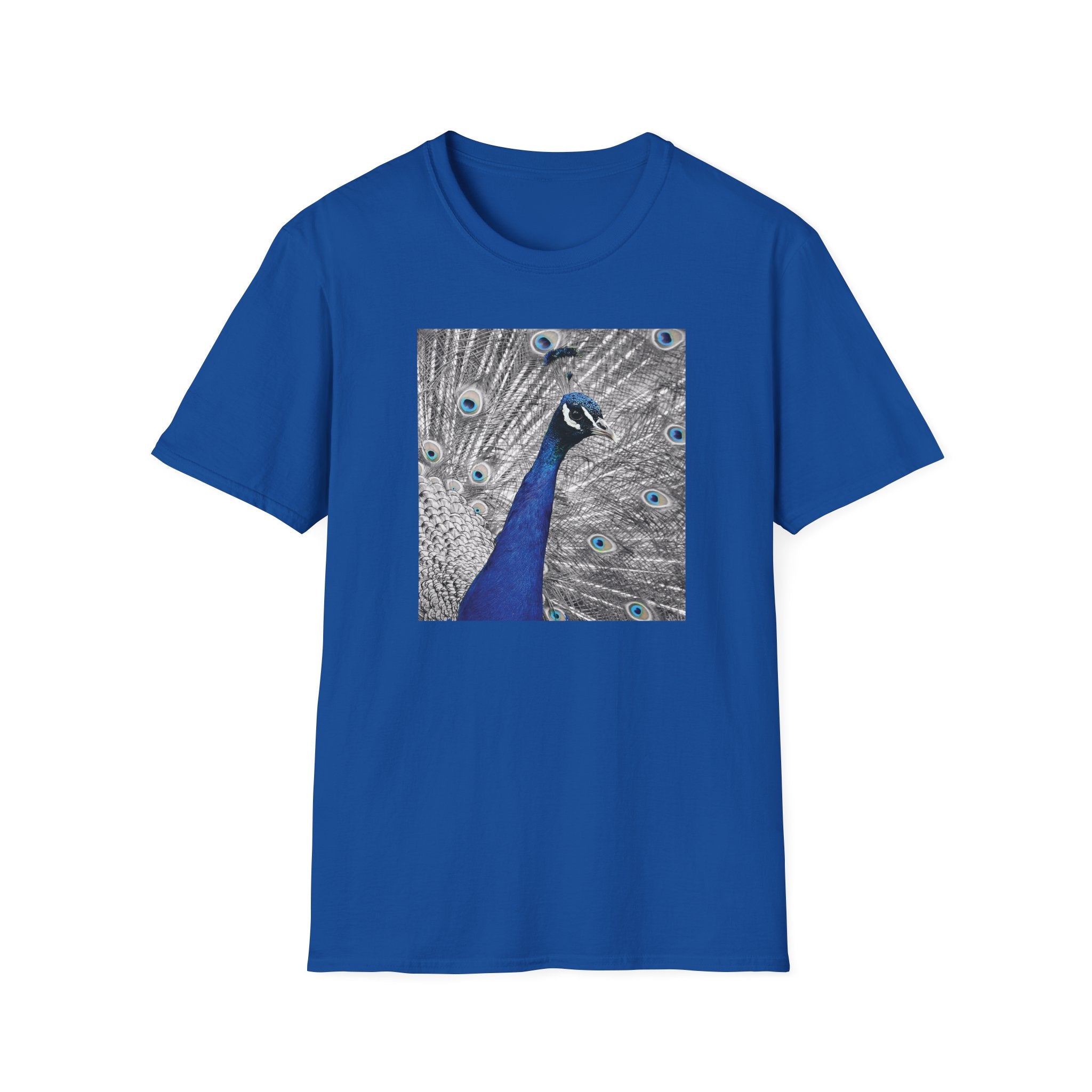 Photo of blue peacock with feathers T-shirt